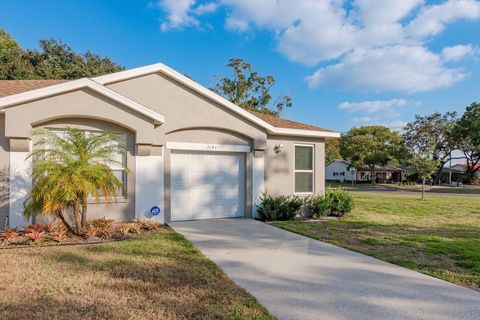Photo of 3141 Brooker Creek Way, Palm Harbor, FL 34685 (MLS # TB8448877)