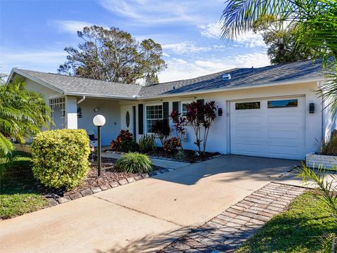 A home in PALM HARBOR