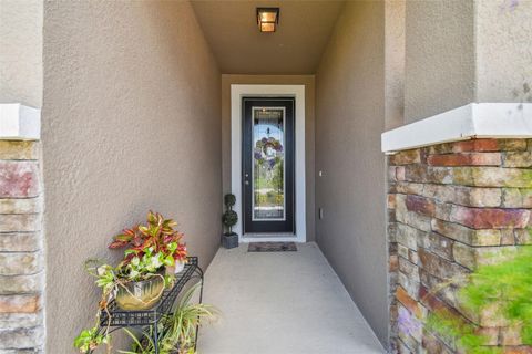 A home in WESLEY CHAPEL