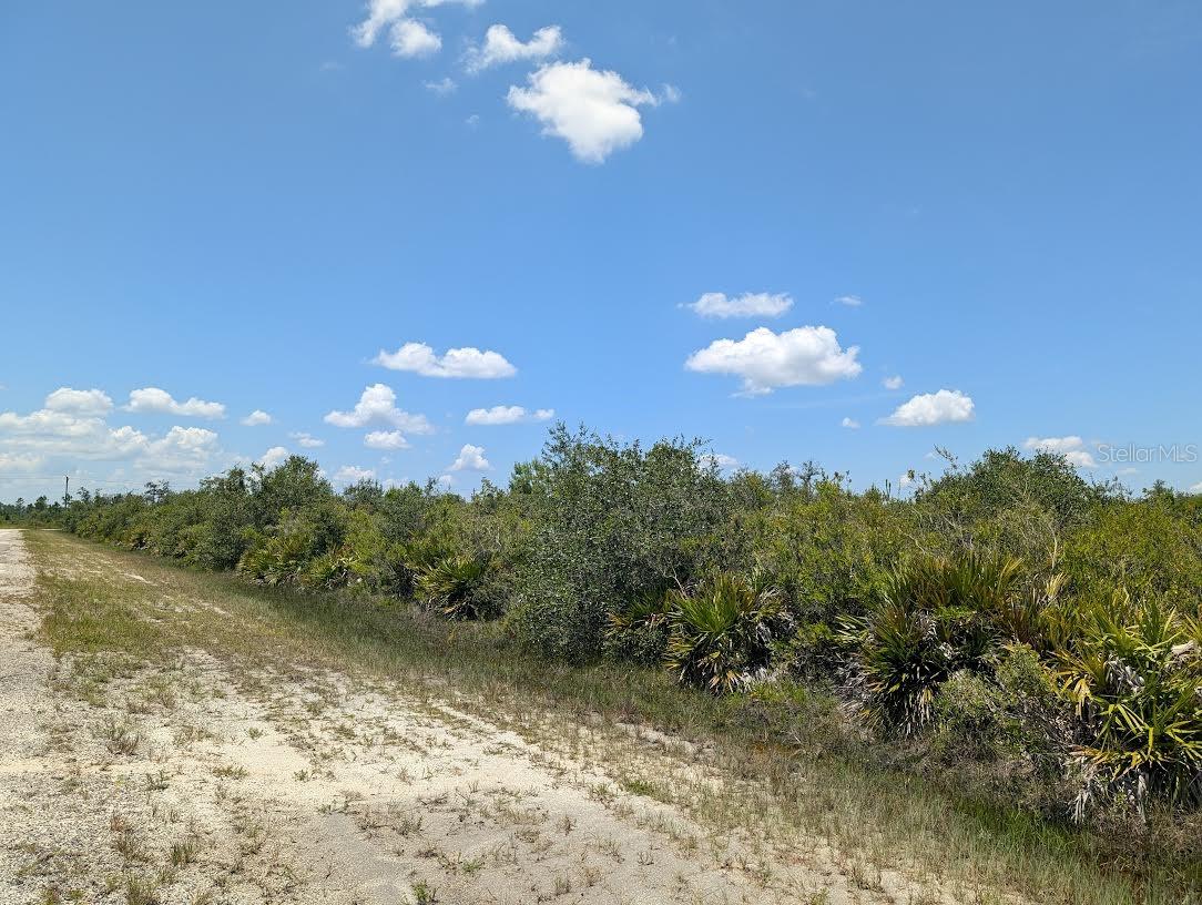 INDIAN LAKE ESTATES - Land