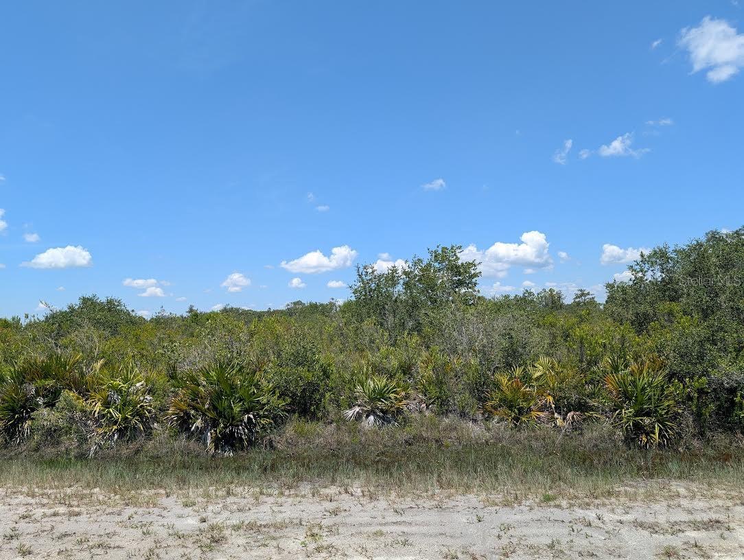 Come build your forever home on this one-half acre lot that located in the lake community of Indian Lake Estates, a golfing, fishing and
boating community in the center of Florida. Indian Lake Estates is about 20 miles east of Lake Wales. The community surrounds the 7,500 acre lake locally known as Lake Walk In Water, nationally known for its fishing and considered to be one of the best bass fishing lakes in all Florida. The lake has a beach, boat ramp, boat marina and the longest freshwater Fishing pier in the State of Florida. The pavilion is located at the front of the pier and is complete with propane grills and covered picnic tables. The community amenities include an 18-hole golf course, basketball and tennis courts, 23, 000 sq.ft. clubhouse, cafe, post office, churches, library, fitness room and pro shop. If you love nature and the peace and quiet of the country you're in luck. Wildlife is plentiful! You will see deer, raccoon, turkey, turtles, cranes and various species of birds that call Indian Lake Estates their home. Orlando and Disney is only about an hour's drive north and Tampa, Busch Gardens, and the Gulf's pristine beaches only a little over an hour west. Historic Bok Tower, a National Landmark, is in nearby Lake Wales. The Westgate River Ranch Resort and Rodeo is just six miles away. An authentic Florida dude ranch and full-service resort offering guests the opportunity to experience "Old Florida." Encompassing 1,700 beautiful acres, Westgate River Ranch features horseback riding, wildlife airboat and swamp buggy rides, Saturday night championship rodeo, trap/skeet range, nature hikes, petting farm, marina, Adventure Park with zip line and rock climbing wall, Westgate Smokehouse Grill and River Ranch Saloon and much more. Cowboy-themed accommodations range from ranch-themed lodge guestrooms and deluxe lodge suites to spacious cottages, two-bedroom cabins, Glamping and Luxe Teepees. Come out and see how great life can be at Indian Lake Estates! Polk County's best kept secret!