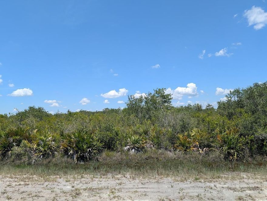 Come build your forever home on this one-half acre lot that located in the lake community of Indian Lake Estates, a golfing, fishing and
boating community in the center of Florida. Indian Lake Estates is about 20 miles east of Lake Wales. The community surrounds the 7,500 acre lake locally known as Lake Walk In Water, nationally known for its fishing and considered to be one of the best bass fishing lakes in all Florida. The lake has a beach, boat ramp, boat marina and the longest freshwater Fishing pier in the State of Florida. The pavilion is located at the front of the pier and is complete with propane grills and covered picnic tables. The community amenities include an 18-hole golf course, basketball and tennis courts, 23, 000 sq.ft. clubhouse, cafe, post office, churches, library, fitness room and pro shop. If you love nature and the peace and quiet of the country you're in luck. Wildlife is plentiful! You will see deer, raccoon, turkey, turtles, cranes and various species of birds that call Indian Lake Estates their home. Orlando and Disney is only about an hour's drive north and Tampa, Busch Gardens, and the Gulf's pristine beaches only a little over an hour west. Historic Bok Tower, a National Landmark, is in nearby Lake Wales. The Westgate River Ranch Resort and Rodeo is just six miles away. An authentic Florida dude ranch and full-service resort offering guests the opportunity to experience "Old Florida." Encompassing 1,700 beautiful acres, Westgate River Ranch features horseback riding, wildlife airboat and swamp buggy rides, Saturday night championship rodeo, trap/skeet  range, nature hikes, petting farm, marina, Adventure Park with zip line and rock climbing wall, Westgate Smokehouse Grill and River Ranch Saloon and much more. Cowboy-themed accommodations range from ranch-themed lodge guestrooms and deluxe lodge suites to spacious cottages, two-bedroom cabins, Glamping and Luxe Teepees. Come out and see how great life can be at Indian Lake Estates! Polk County's best kept secret!