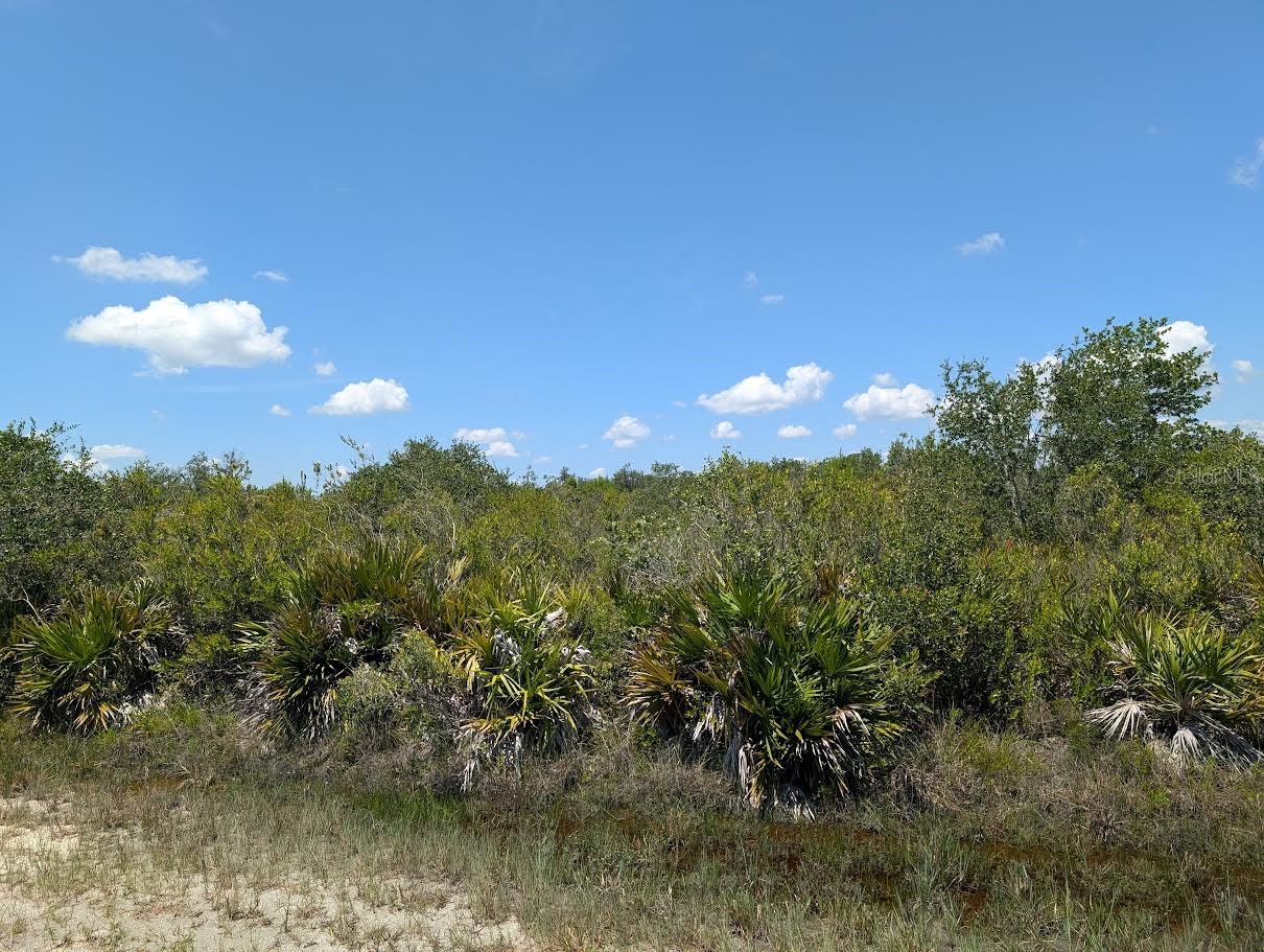 INDIAN LAKE ESTATES - Land