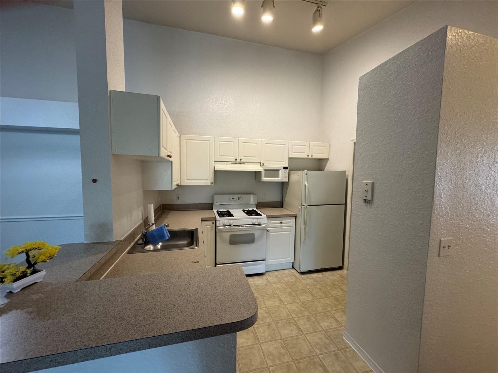 3325 S KIRKMAN ROAD 438