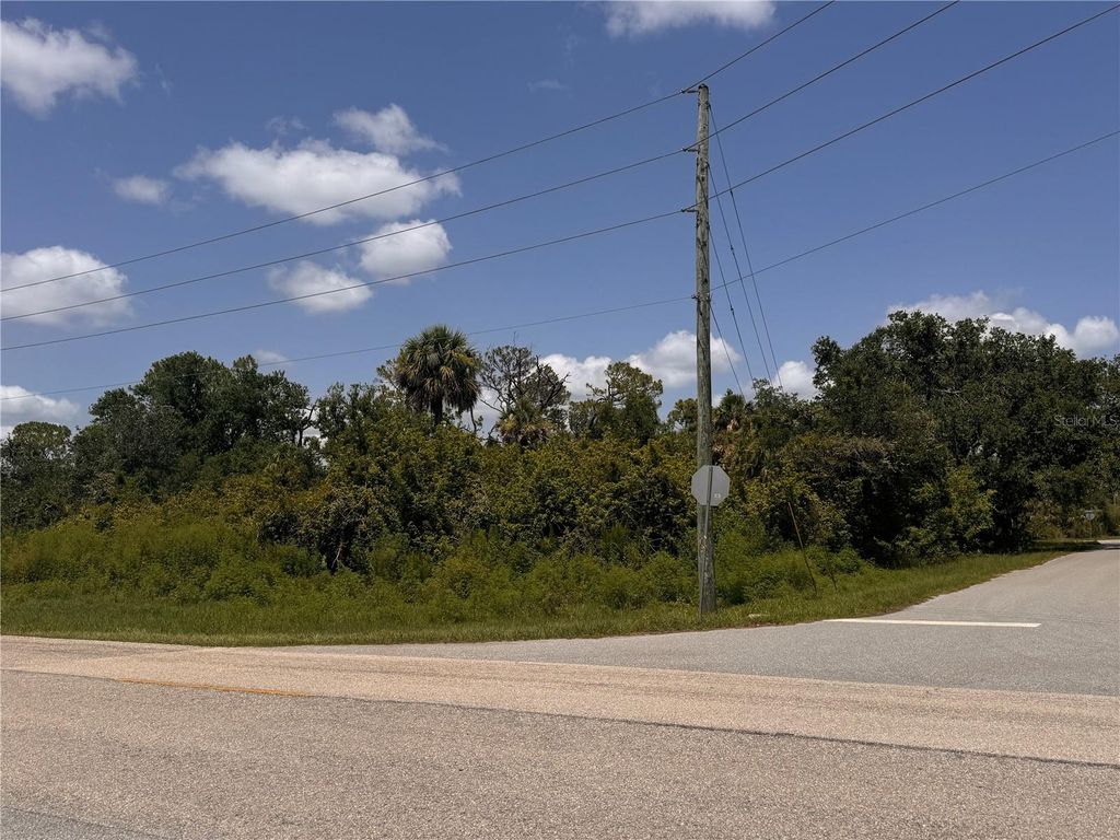 Photo of 13276 Johannes Avenue, Port Charlotte, FL 33953 (MLS # D6142663)