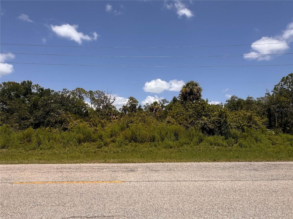 Photo of 13276 Johannes Avenue, Port Charlotte, FL 33953 (MLS # D6142663)