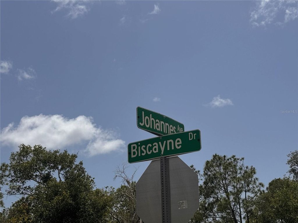 Photo of 13276 Johannes Avenue, Port Charlotte, FL 33953 (MLS # D6142663)