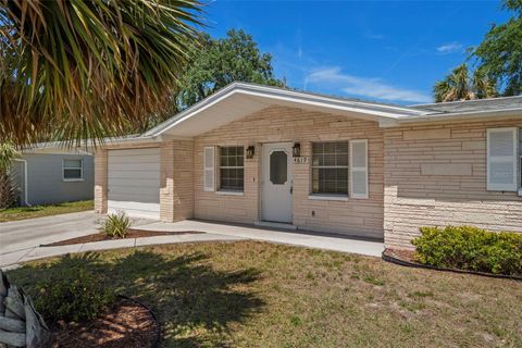 4619 IRENE LOOP NEW PORT RICHEY FL 34652