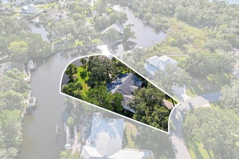 Photo of 11950 W Waterway Drive, Homosassa, FL 34448 (MLS # TB8437111) Photo of 11950 W Waterway Drive, Homosassa, FL 34448 (MLS # TB8437111)