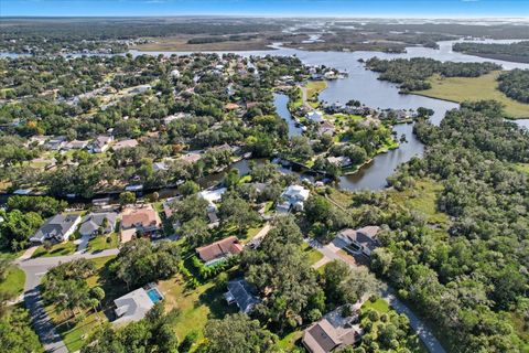 Tiny photo for 11950 W Waterway Drive, Homosassa, FL 34448 (MLS # TB8437111)