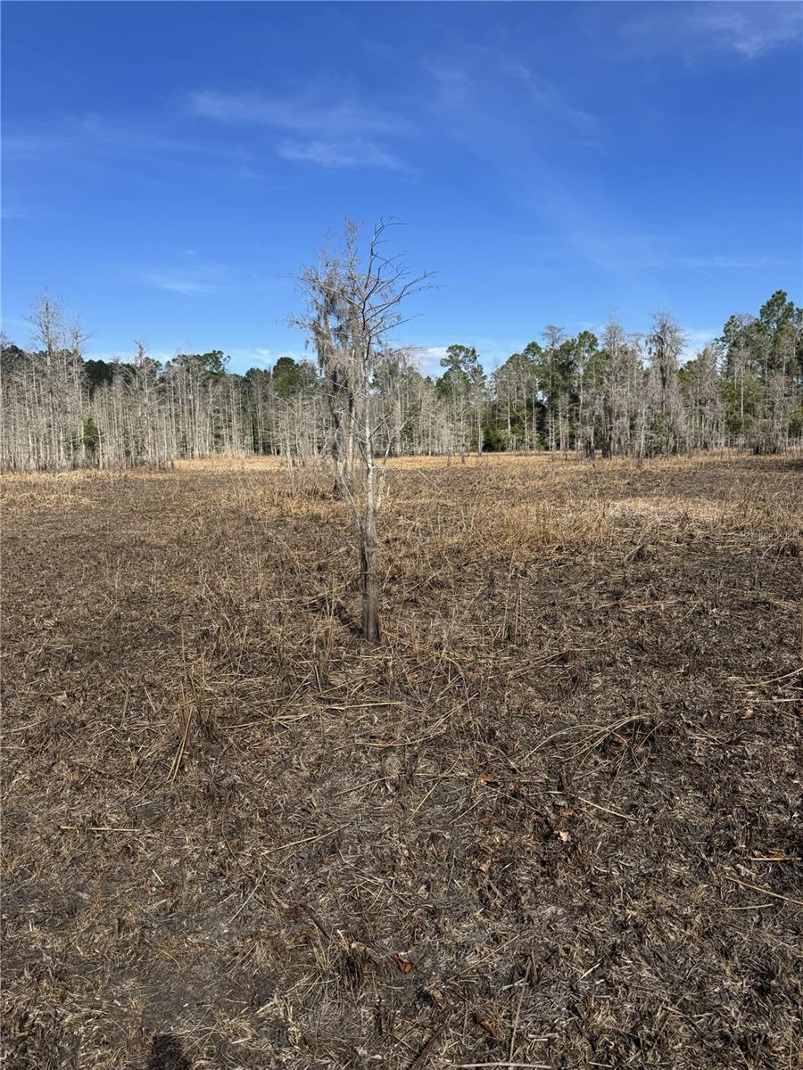 GROVELAND FARMS 13-23-24 - Land