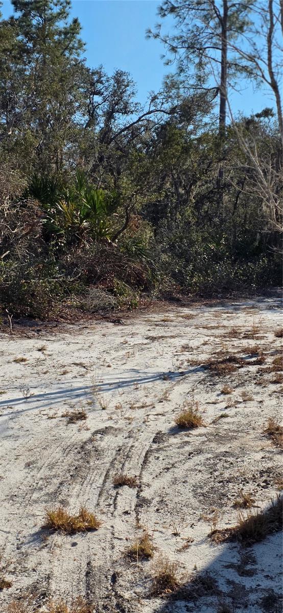 GROVELAND FARMS 13-23-24 - Land