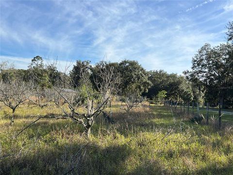 Tiny photo for 18250 Ravenswood Road, Altoona, FL 32702 (MLS # G5105562)