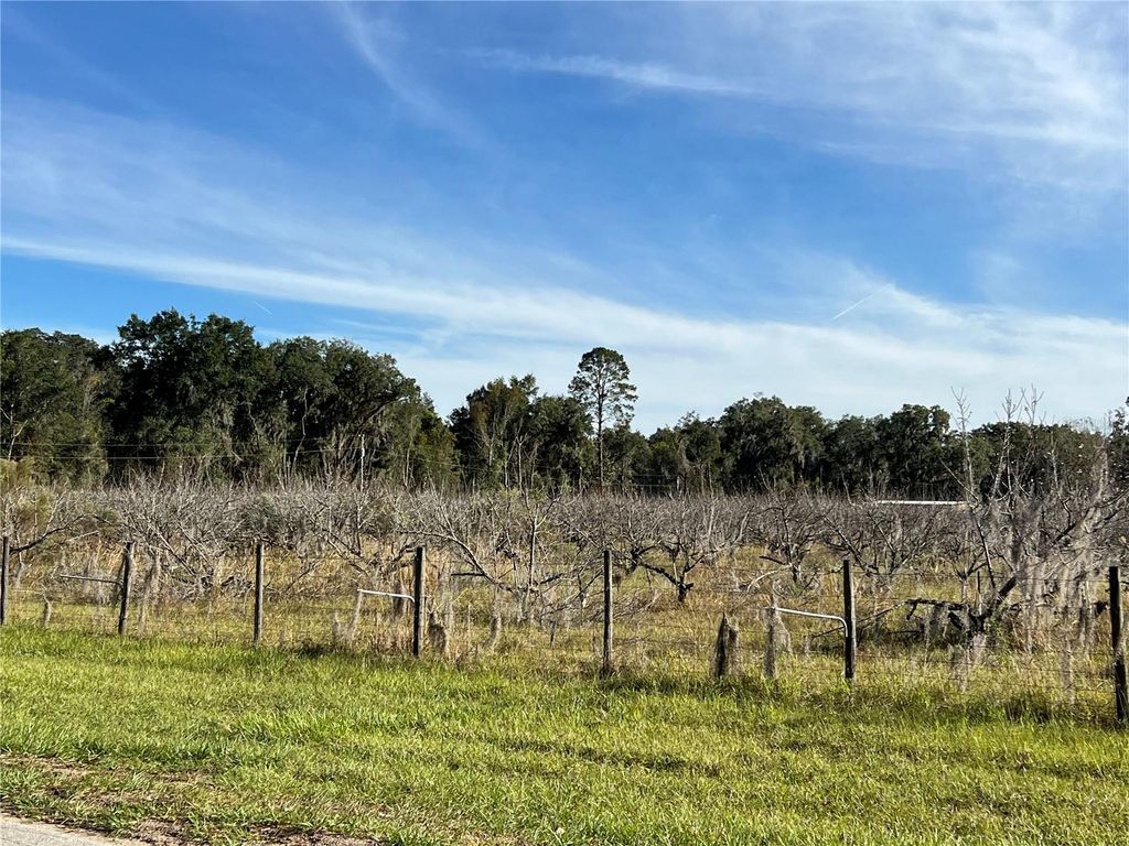 Photo of 18250 Ravenswood Road, Altoona, FL 32702 (MLS # G5105562)