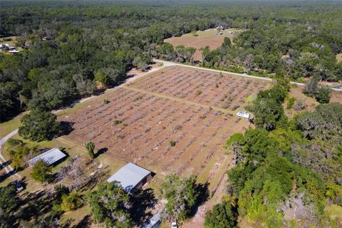 Tiny photo for 18250 Ravenswood Road, Altoona, FL 32702 (MLS # G5105562)