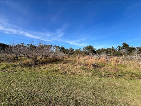 Tiny photo for 18250 Ravenswood Road, Altoona, FL 32702 (MLS # G5105562)