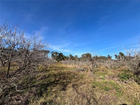 Tiny photo for 18250 Ravenswood Road, Altoona, FL 32702 (MLS # G5105562)