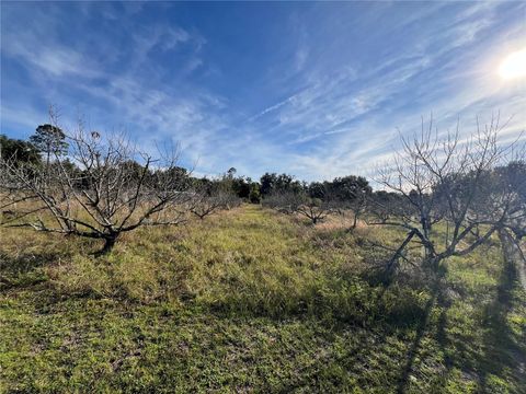 Tiny photo for 18250 Ravenswood Road, Altoona, FL 32702 (MLS # G5105562)
