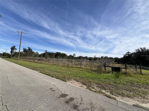 Tiny photo for 18250 Ravenswood Road, Altoona, FL 32702 (MLS # G5105562)