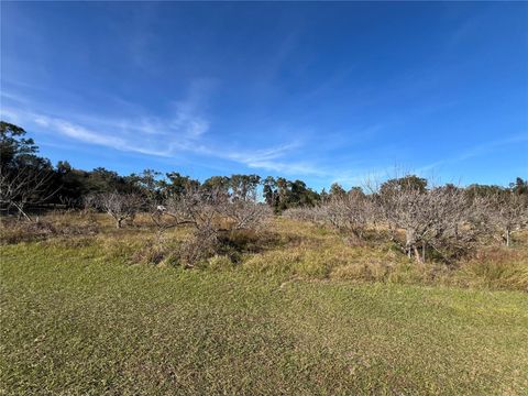 Tiny photo for 18250 Ravenswood Road, Altoona, FL 32702 (MLS # G5105562)