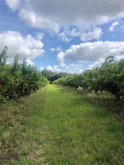 Tiny photo for 18250 Ravenswood Road, Altoona, FL 32702 (MLS # G5105562)