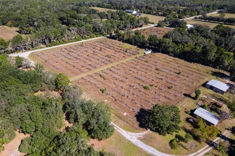 Tiny photo for 18250 Ravenswood Road, Altoona, FL 32702 (MLS # G5105562)