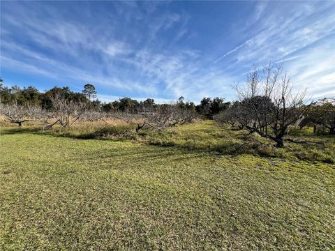 Tiny photo for 18250 Ravenswood Road, Altoona, FL 32702 (MLS # G5105562)