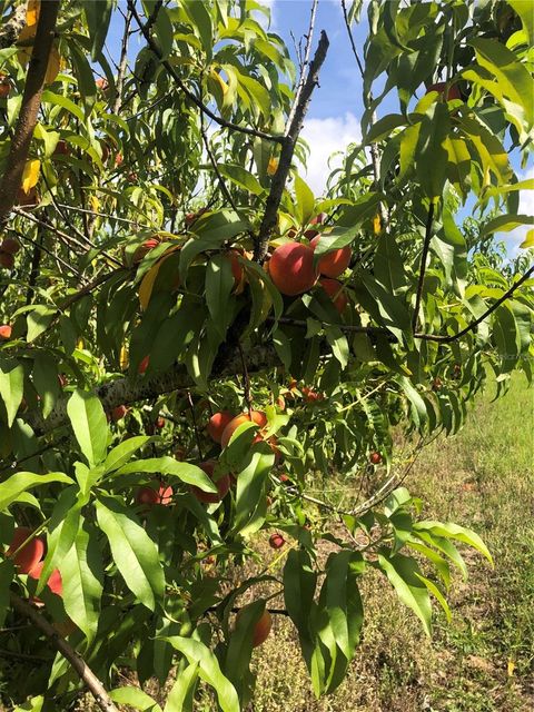 Tiny photo for 18250 Ravenswood Road, Altoona, FL 32702 (MLS # G5105562)