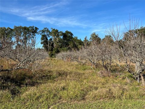 Tiny photo for 18250 Ravenswood Road, Altoona, FL 32702 (MLS # G5105562)