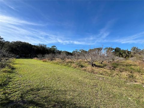 Tiny photo for 18250 Ravenswood Road, Altoona, FL 32702 (MLS # G5105562)