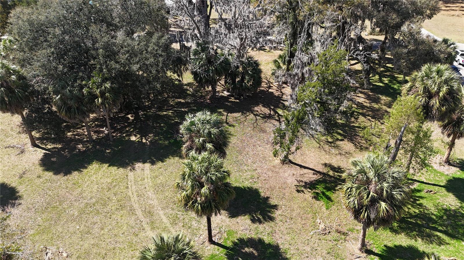 TOWN/BRANFORD - Land