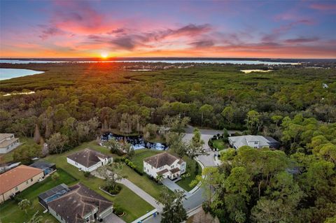 A home in TAMPA