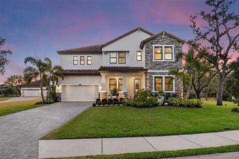 A home in TAMPA