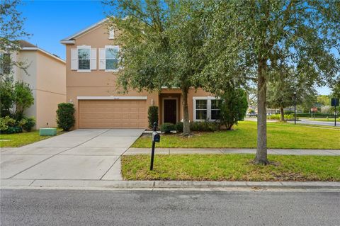 Photo of 20203 Autumn Fern Avenue, Tampa, FL 33647 (MLS # TB8463940)