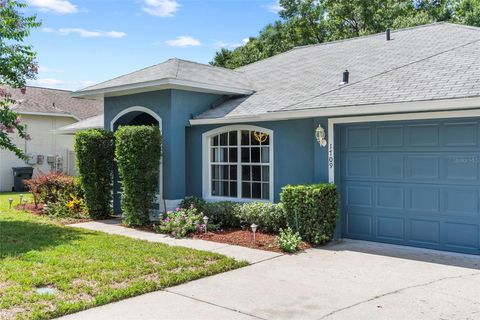 A home in VALRICO