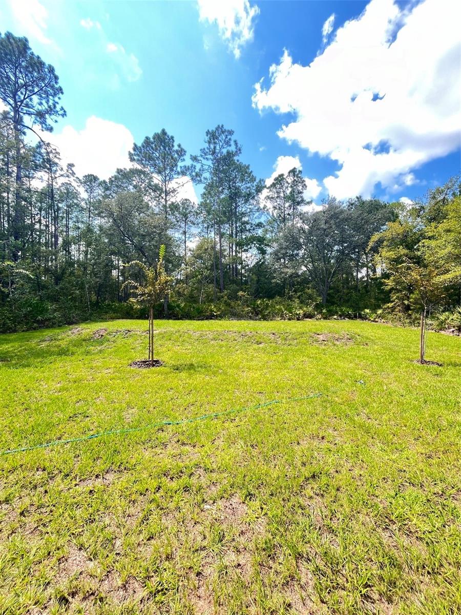FLAGLER ESTATES - Residential