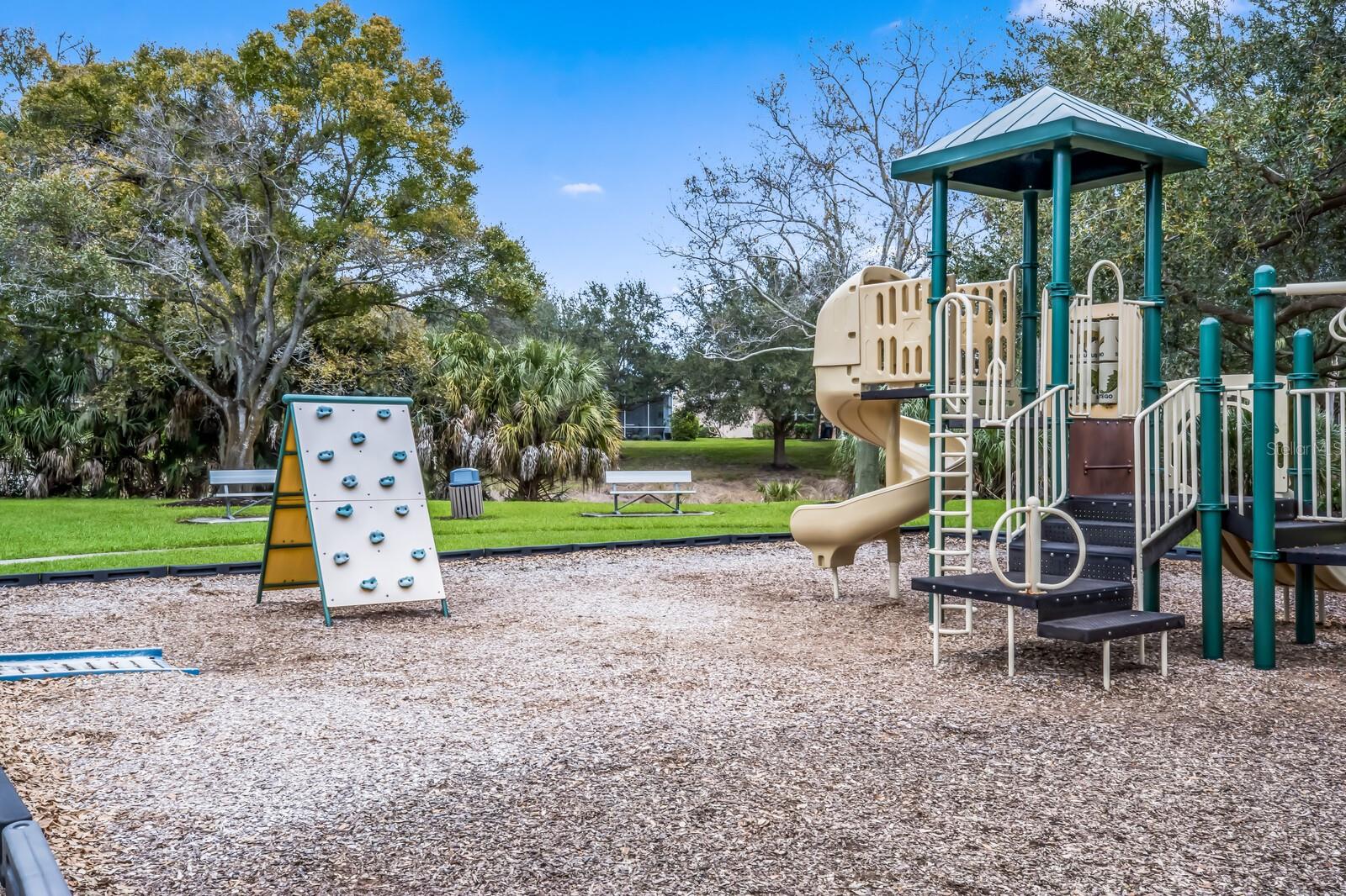 PALMA SOLA TRACE - Residential