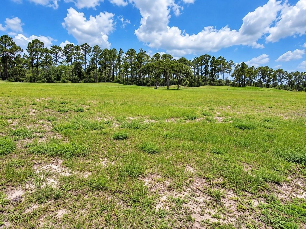 Photo of 406 Bourganville Drive, Palm Coast, FL 32137 (MLS # FC322413)