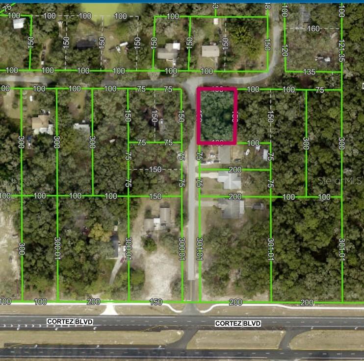 Beautiful 0.30+/- Acre, Wooded, Corner Lot in the Ridge Manor Estates area of Hernando County. Located just off of Cortez Blvd (US Hwy 98) & approximately One mile to US 301 or Four miles to I-75 for Easy Commuting to Orlando, Ocala, Tampa & St. Pete/Clearwater Areas. Ridge Manor Community Park is just around the Corner. Croom Motorbike Trails, Withlacoochee State Forest w/Miles of Horseback Riding Trails, Shopping, Restaurants, Entertainment & Medical are just a few minutes away. No HOA, NO CDD, No Deed Restrictions! AE flood zone. Buy Now - Build Later! Check it out before it's gone!