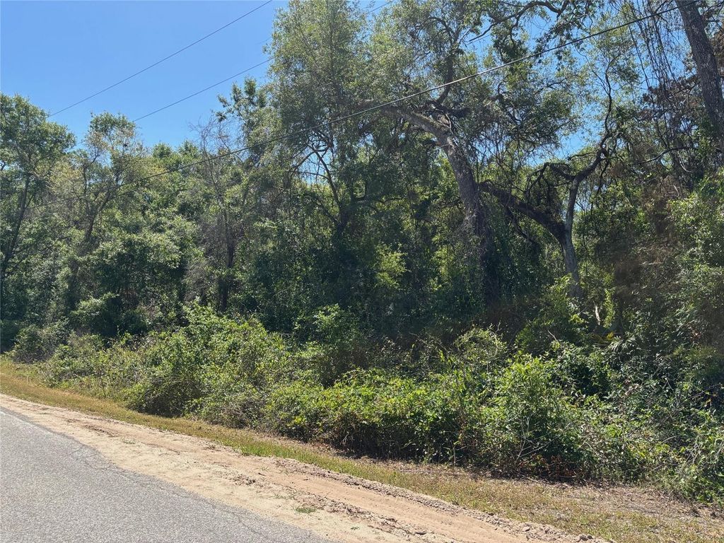 Photo of 175 Madison Avenue, Dade City, FL 33523 (MLS # W7877856)