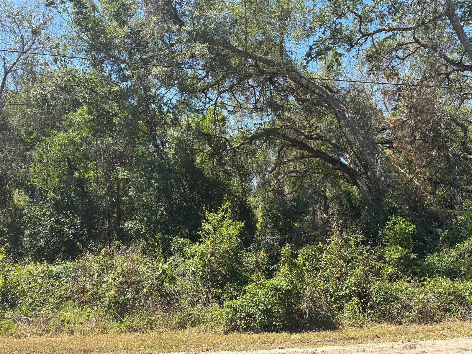 RIDGE MANOR FARMS - Land