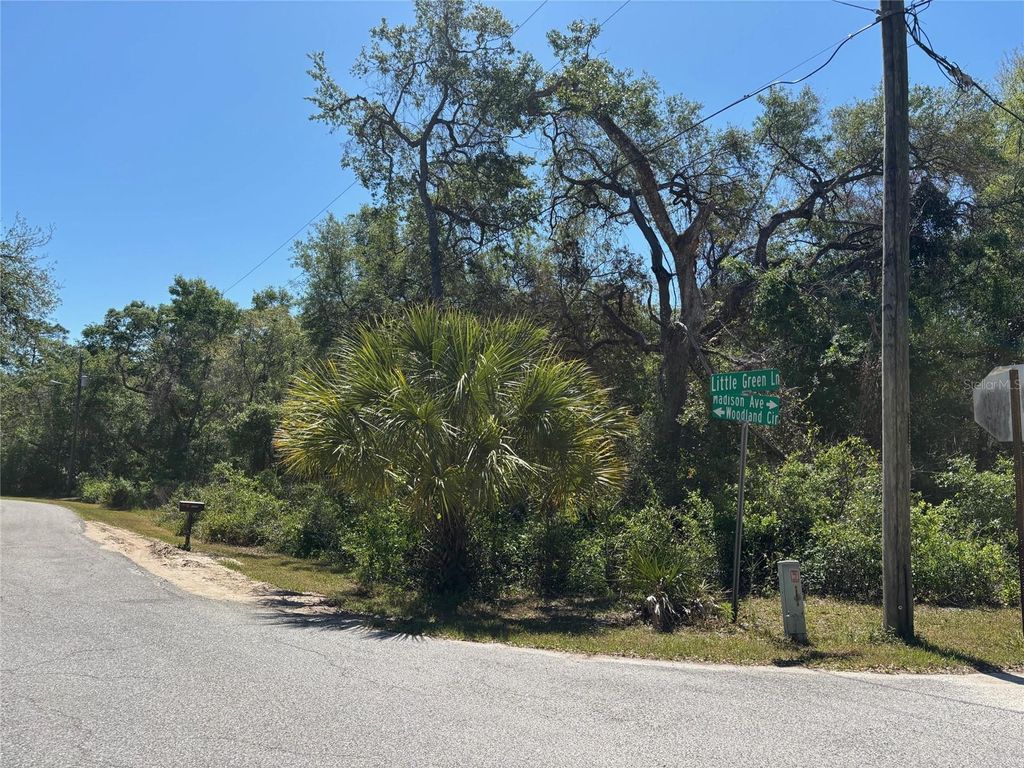 Photo of 175 Madison Avenue, Dade City, FL 33523 (MLS # W7877856)