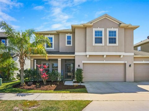 395 BLUE CYPRESS DRIVE GROVELAND FL 34736