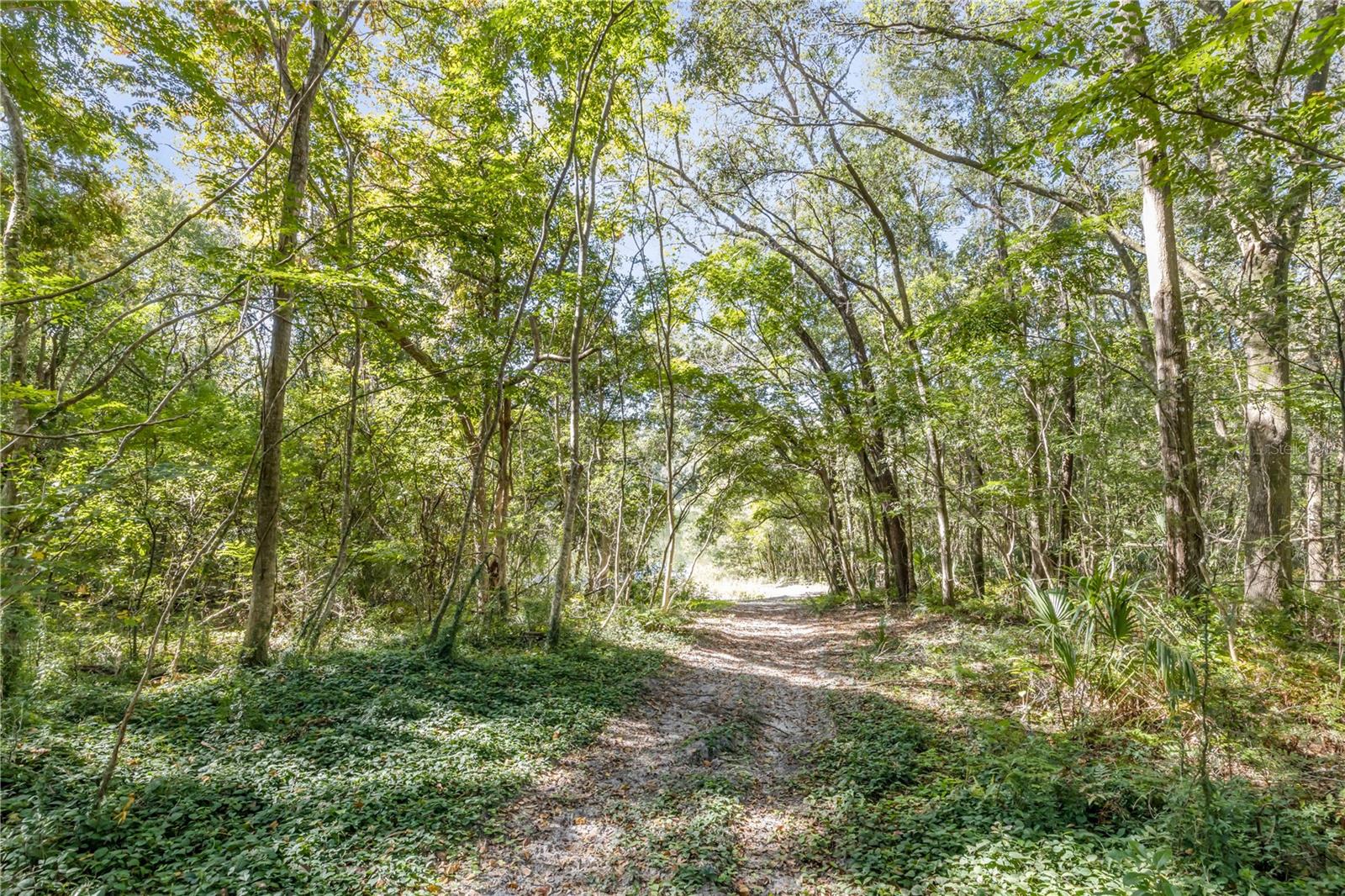 1382 - SEC 6 TWP 17 RNG 30 PART OF - Residential