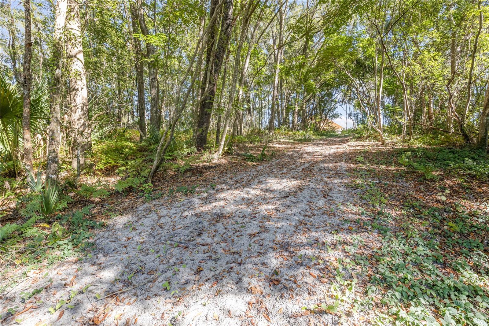 1382 - SEC 6 TWP 17 RNG 30 PART OF - Residential