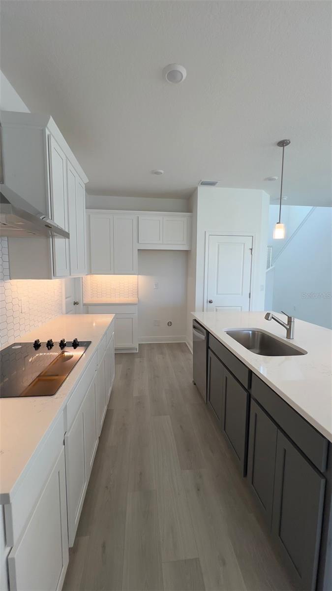 VILLAGES/MINNEOLA HILLS PH 4 - Residential Lease