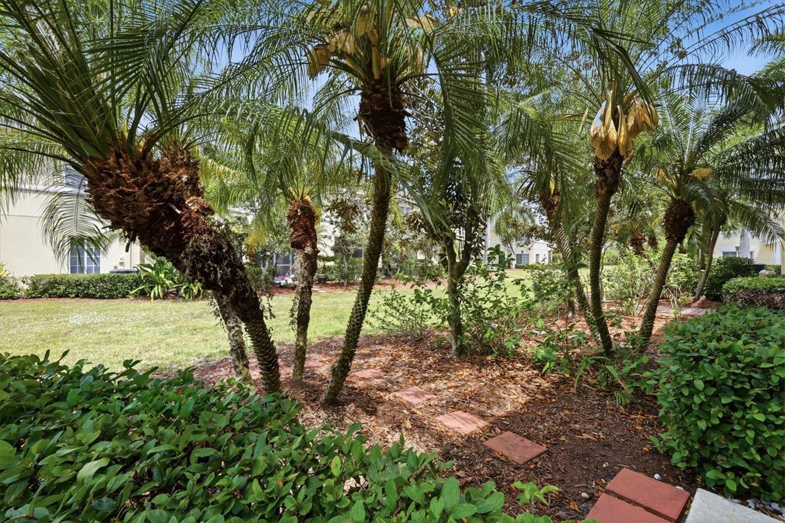 THE TWNHMS AT LIGHTHOUSE COVE III - Residential