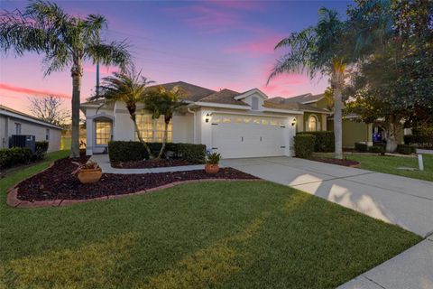 Photo of 3009 Banyan Hill Lane, Land O Lakes, FL 34639 (MLS # TB8475673)