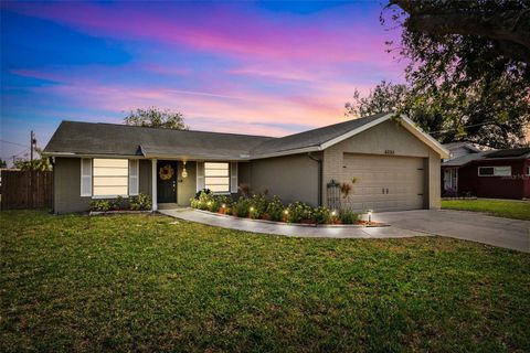 A home in APOLLO BEACH