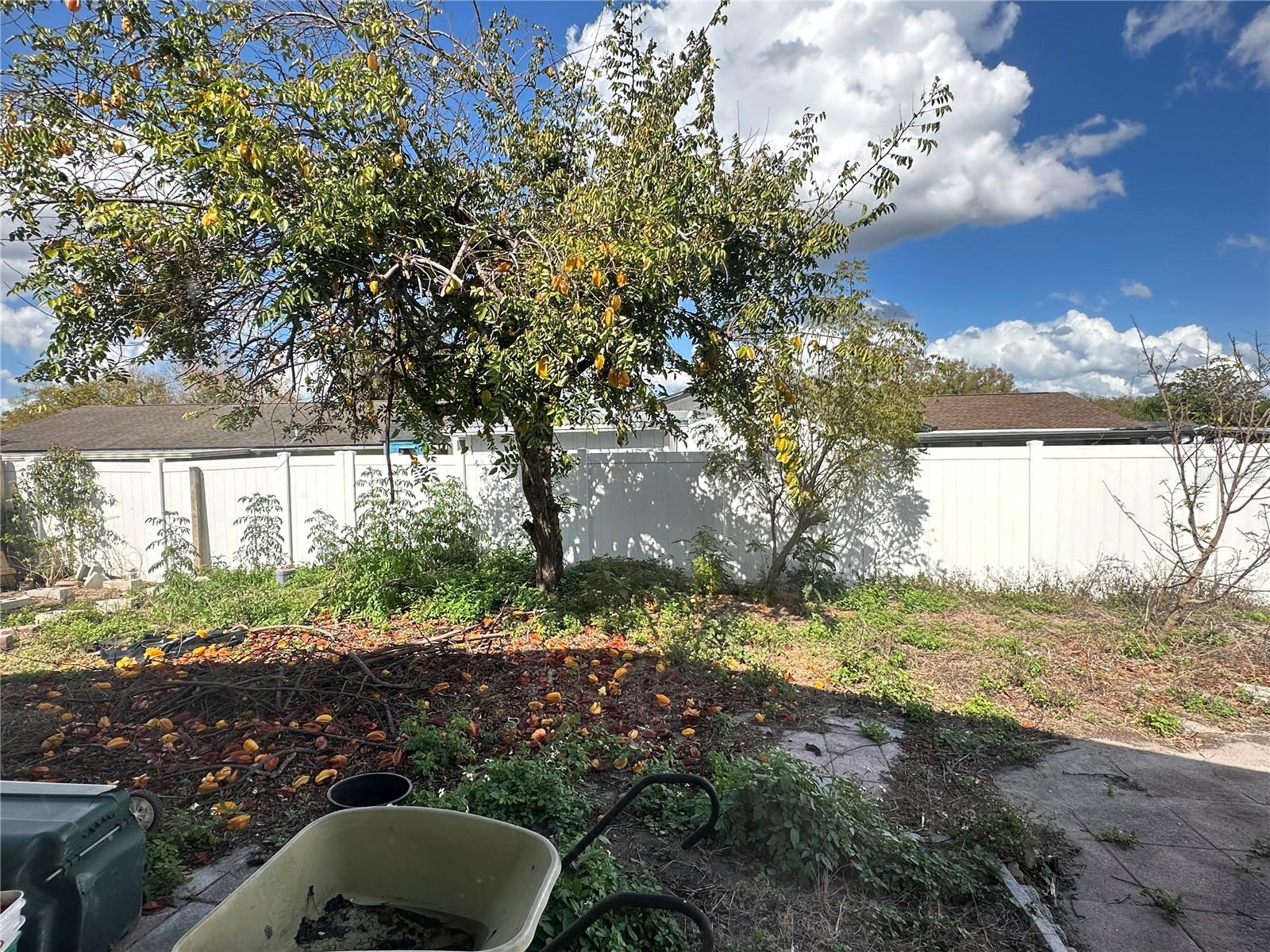 CARROLLWOOD MEADOWS UNIT V - Residential